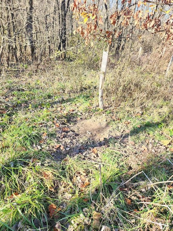 95851896-6f6b-4bc1-b799-2c0f43749f6e