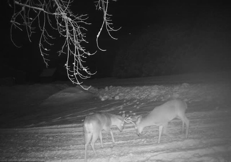 865509050092612-60-4-01082023033106-V-W1010632