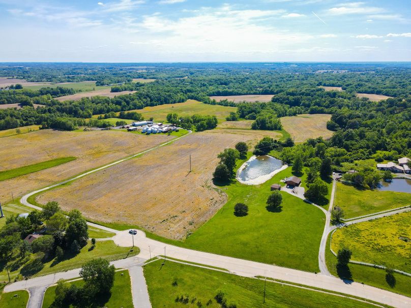 Copy of st clair 25 auction(20)