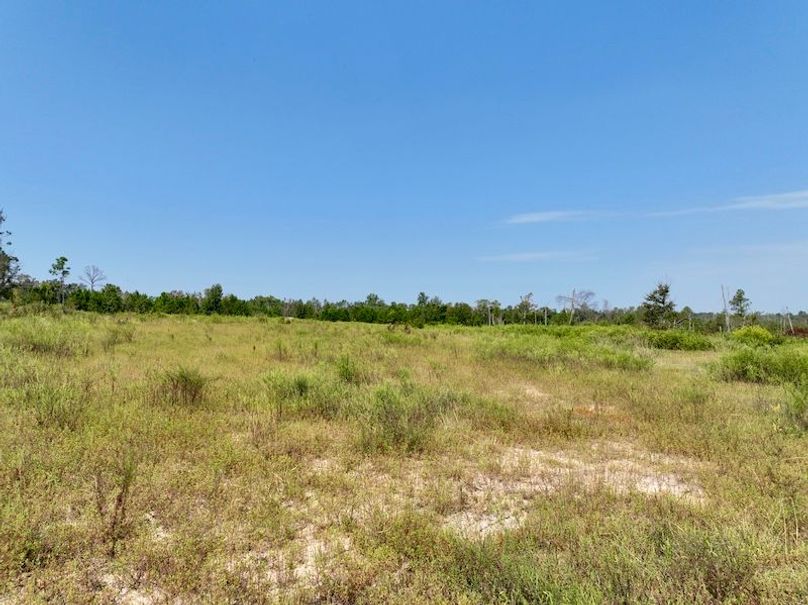 dji_fly_20250918_112616_198_1758209474841_photo