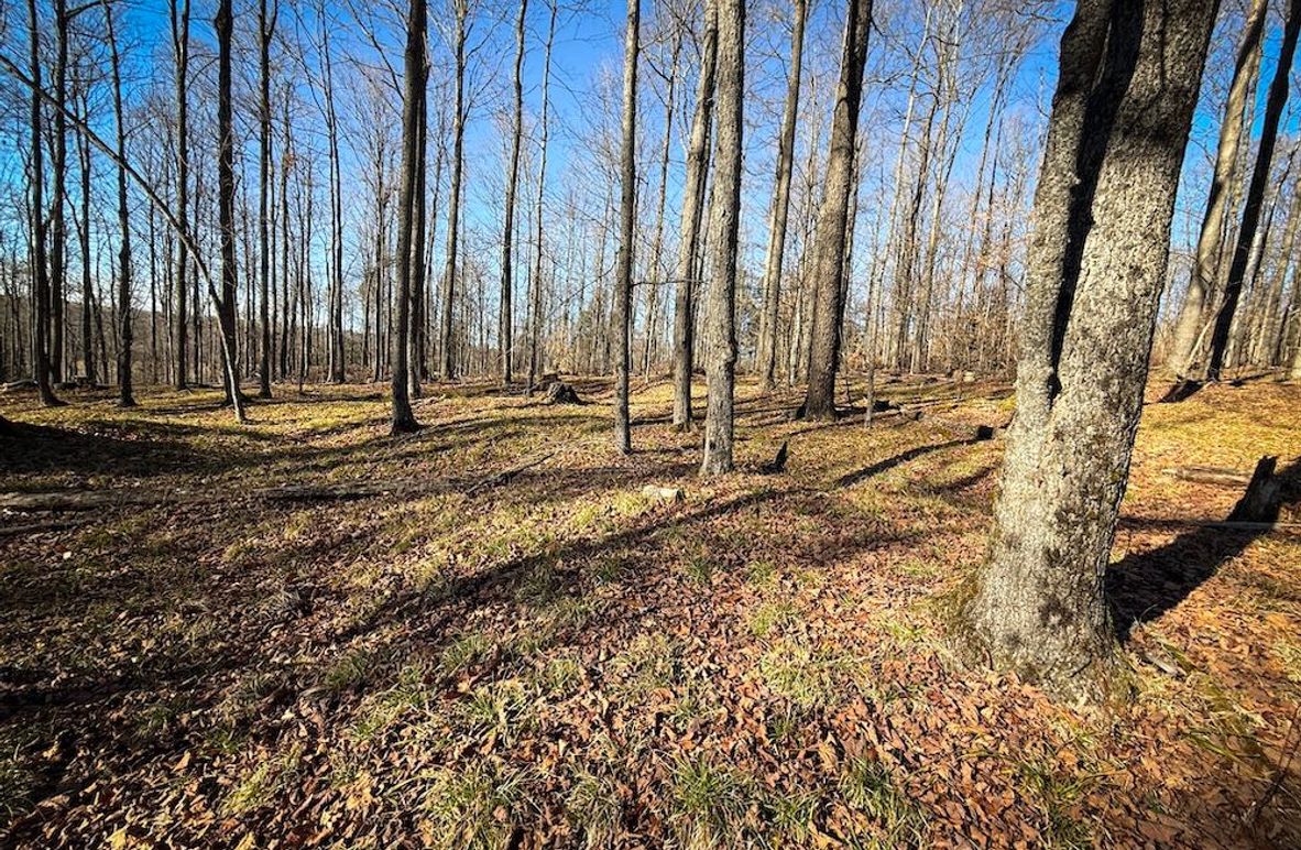 Chemung_31.75_Seymour_South_Photos_1