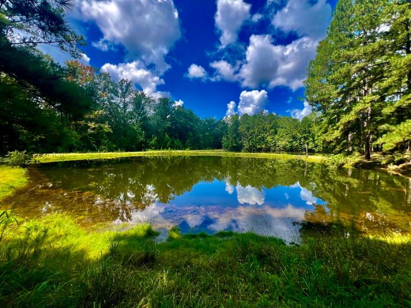 8F7BD7D1-016A-4596-B404-2BF1C741A6E9_1_201_a