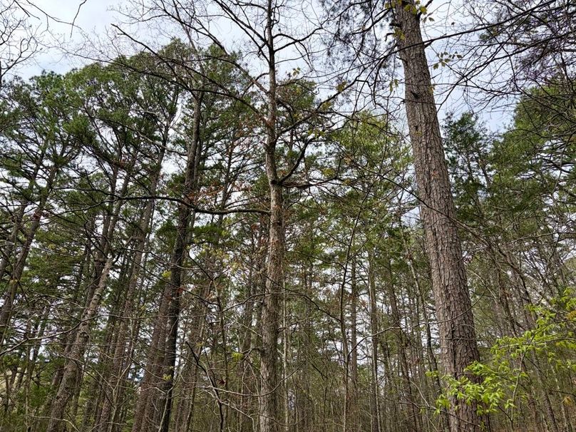 EA5AEBA5-3AB2-4D74-8F70-41563191D4C3_1_201_a