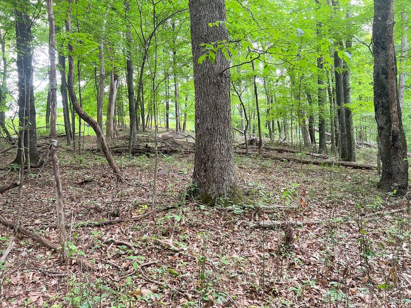 Braxton, WV 46 AC Cooper-69