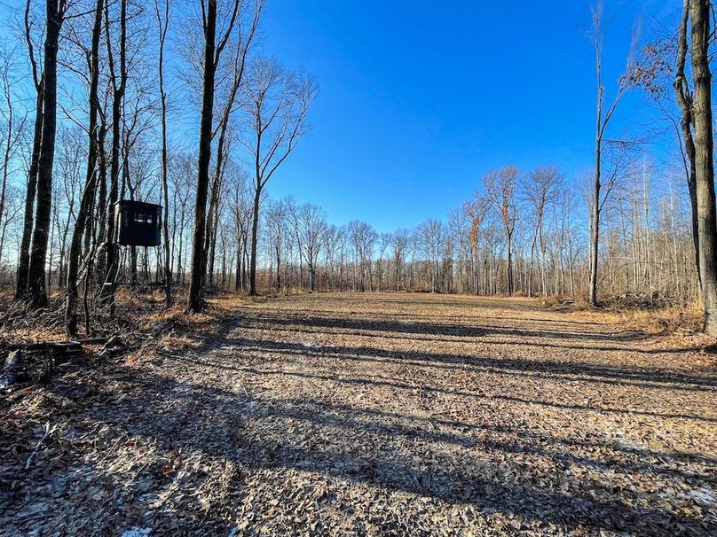 ClarK 160 WILLIAMS -44