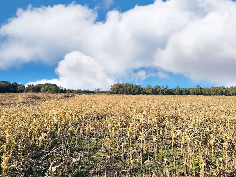 2909BB26-8A5B-4552-A585-6D856D7B49AE