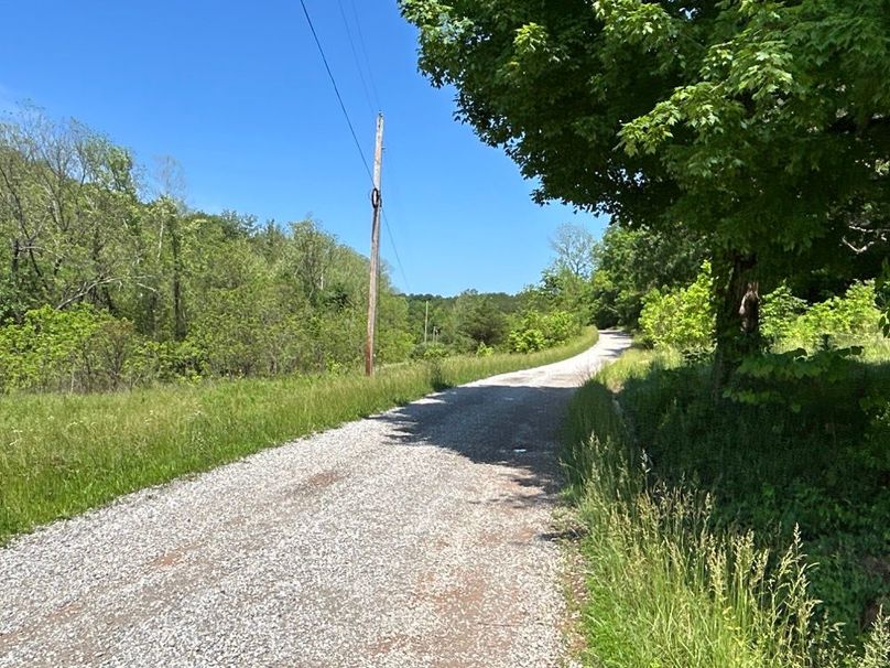 pic 12