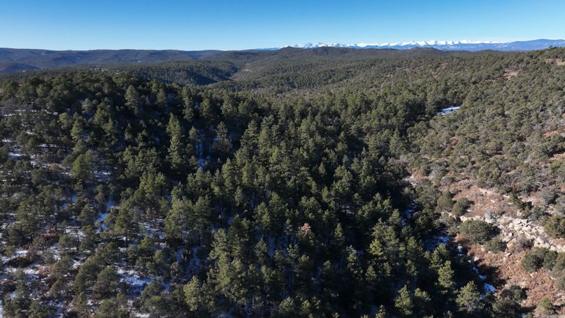 DJI_0515