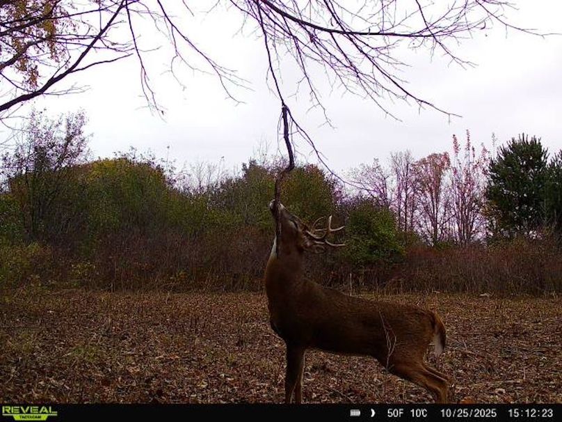 864049056902317-70-4-10252025151222-W1000896