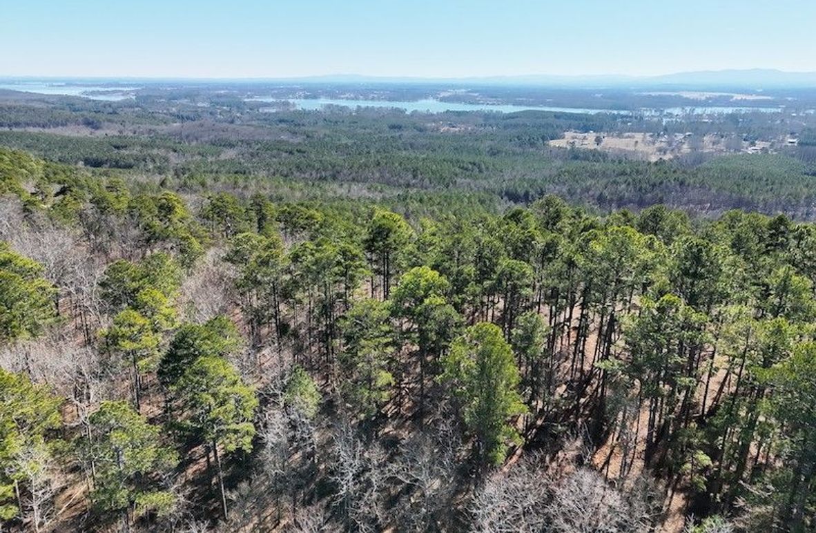 DJI_20260212111141_0003_V