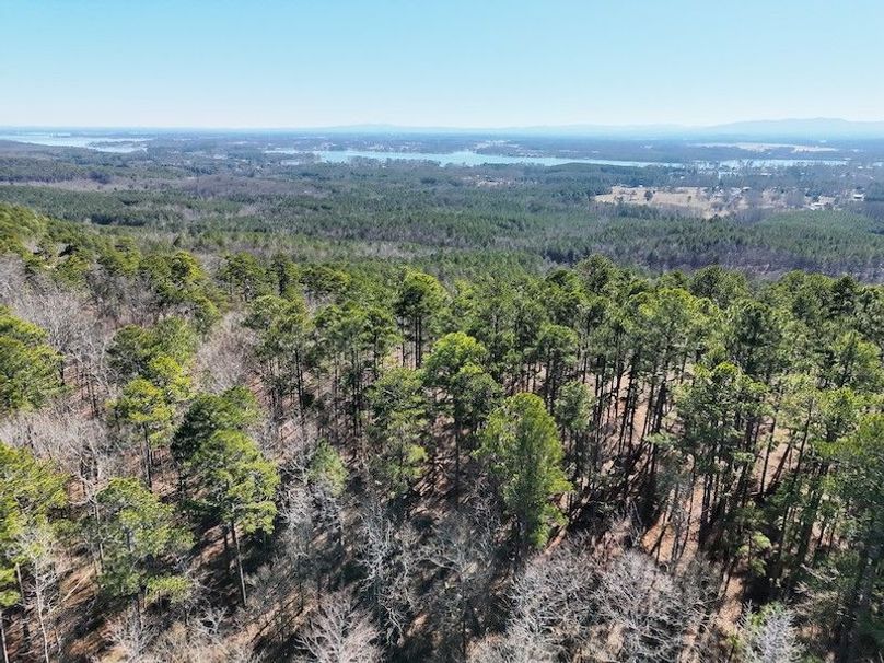 DJI_20260212111141_0003_V