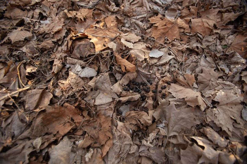 ATCHISON CO MO 56_34