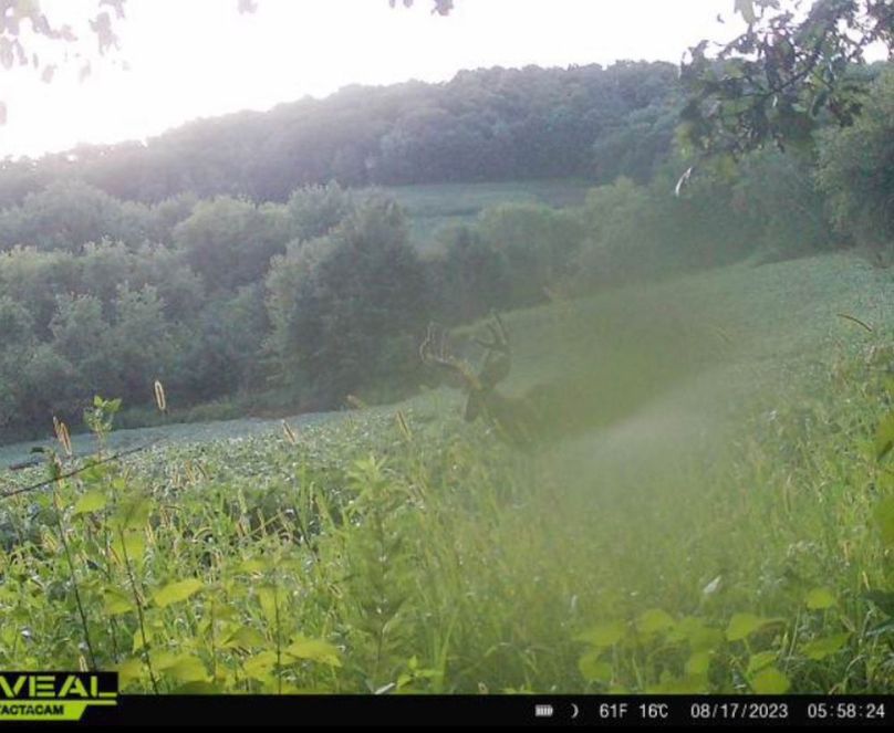 Jackson 178 Trailcam - 1 of 17