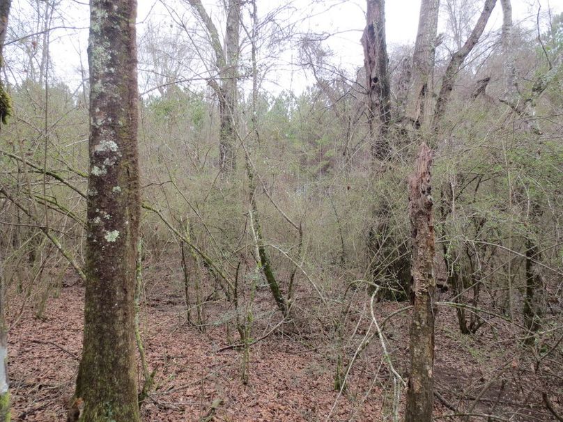 26B6E3F5-DA23-4CDE-9319-D74A0117FD67_1_105_c