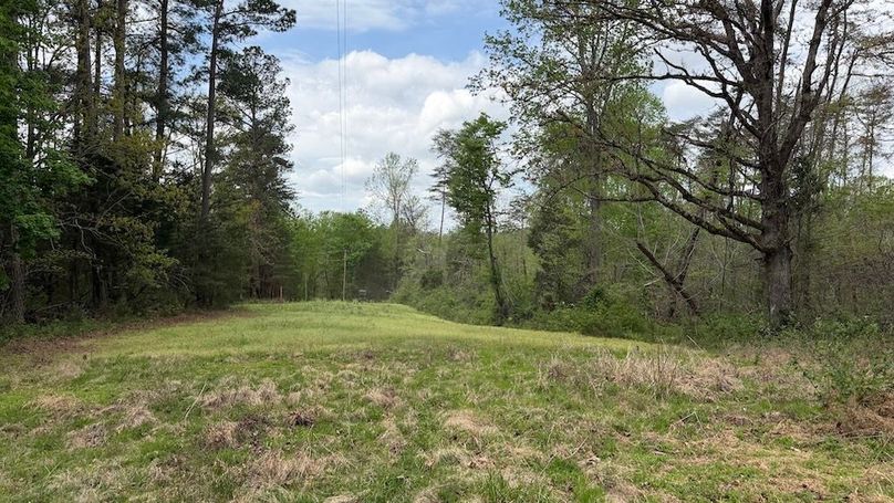 edmonson 110 28