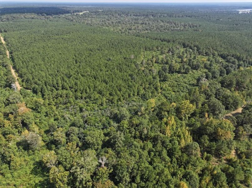 dji_fly_20250915_151322_0474_1758029011338_photo