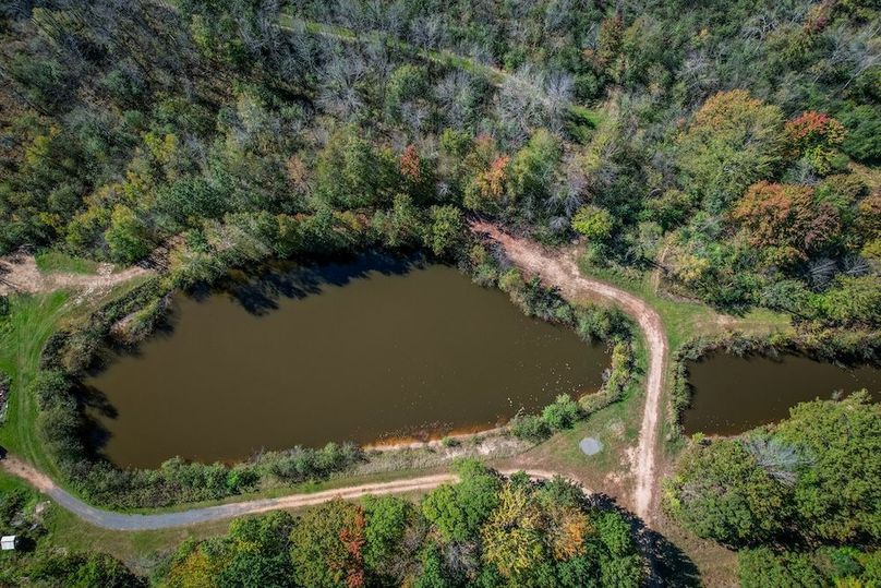 Wood 41.451, Collins -08