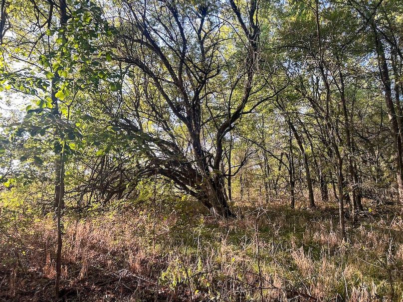 Lamar County- 93 acre reshoot (30 of 38)
