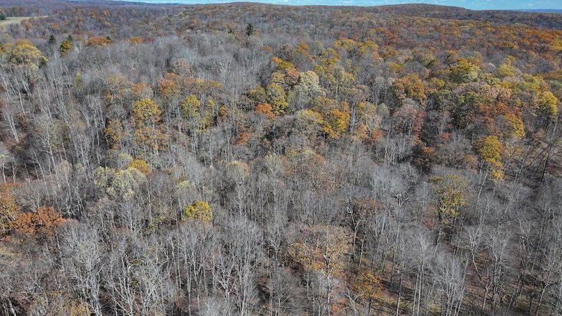 Somerset, 10.91, Tinkey-12