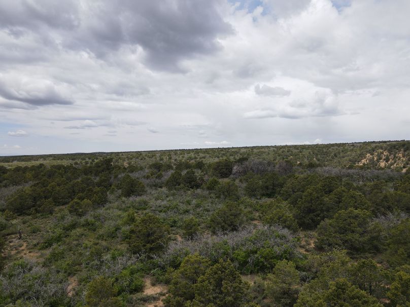 dji_export_1685968223108