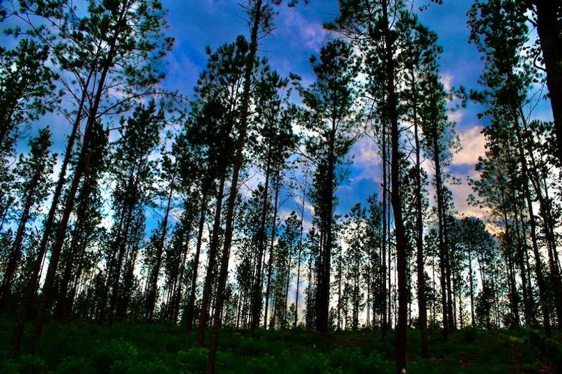 42D57E5D-2C07-4540-8BF6-8D86B2727547_1_105_c