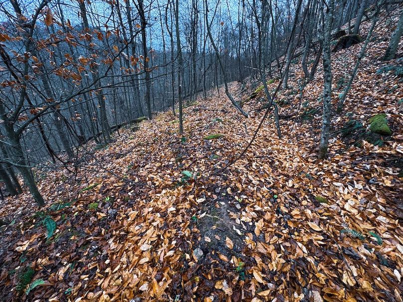 Ritchie, WV 100 AC Harper-53