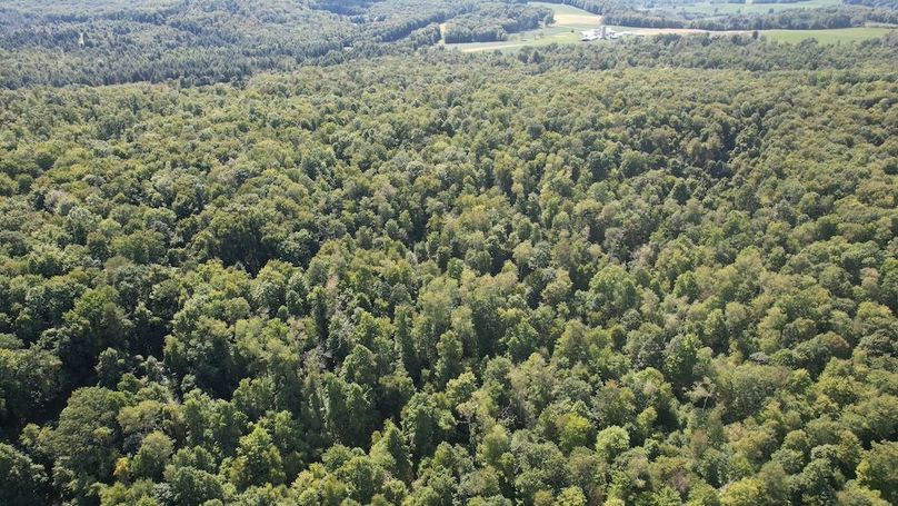 dji_fly_20240906_144346_622_1725648402849_photo