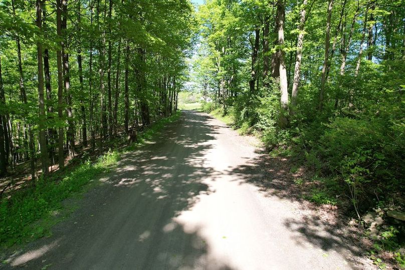 Chemung_116.3_Stamm Photo 63