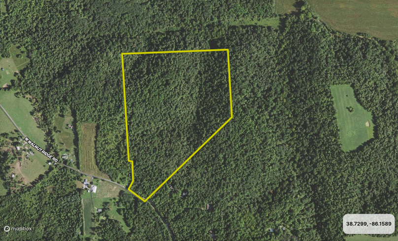 Screenshot 2024-09-13 at 5.49.19 PM