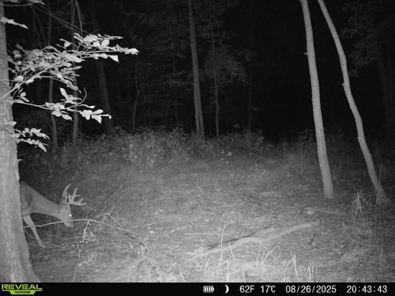 860516068101389-100-2-08262025204342-V-W1001417