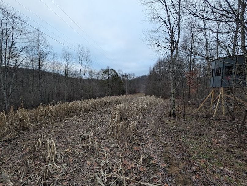 PXL_20260107_214600310