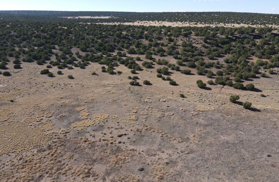 dji_fly_20231027_142114_130_1698441866445_photo