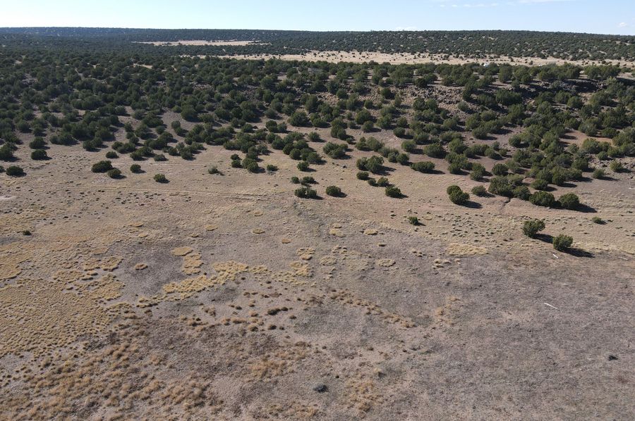 dji_fly_20231027_142114_130_1698441866445_photo