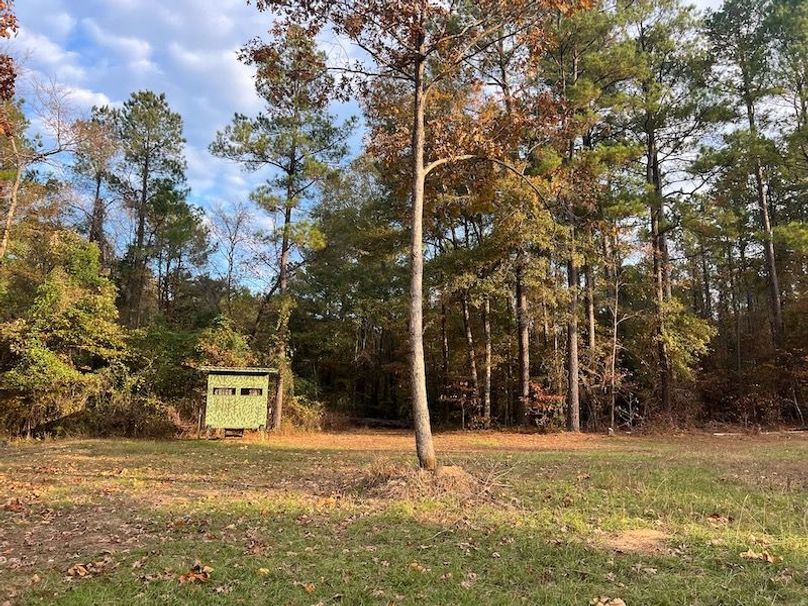 Dal_40_Denton20251117_0352