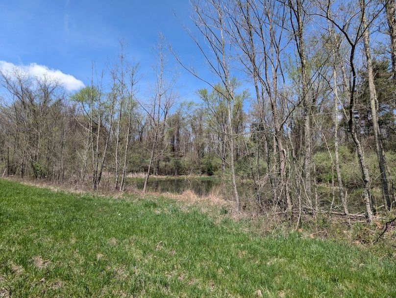 PXL_20250422_165113711