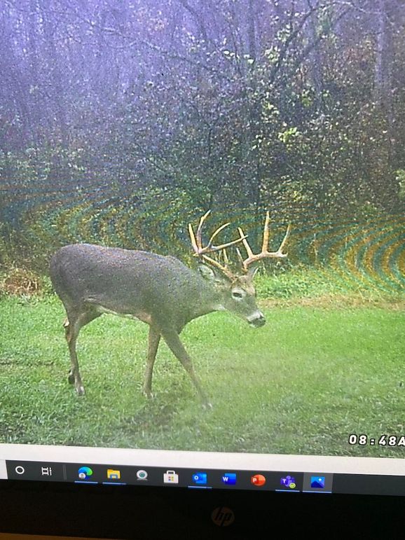 62545504687__095F4DA1-874C-4D23-9632-0DADD90C1E6B