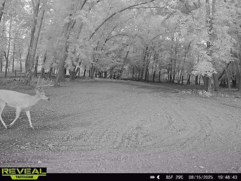 865814042080968-100-2-08152025194842-W1000103