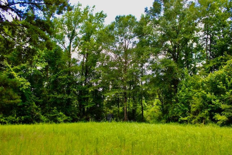 22332497-1C6C-463F-A8B5-DDBEEAD6859B_1_201_a