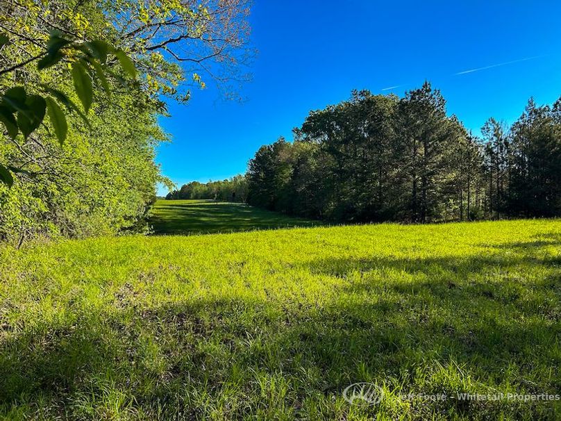 Hinds Co - 51 - Hughes-61