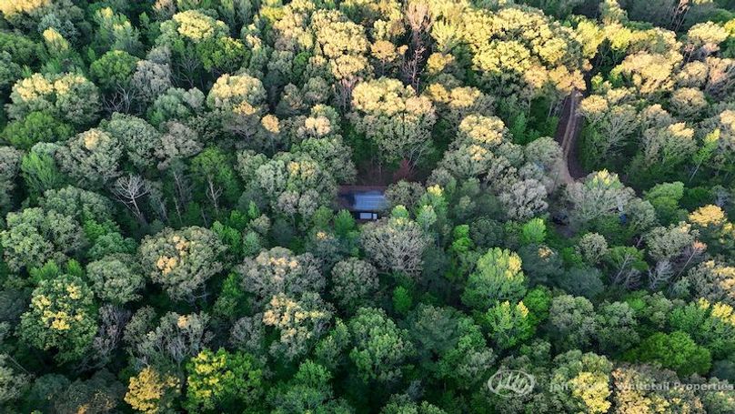 Hinds Co - 51 - Hughes-73