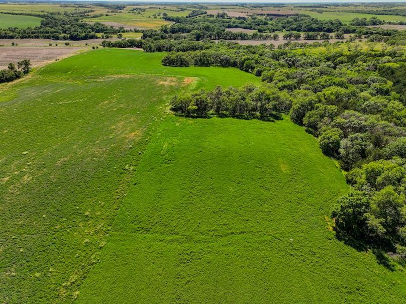 dji_fly_20240606_165136_0012_1717711226225_photo