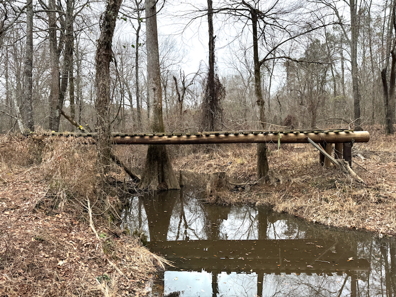 Screenshot 2025-10-03 at 11.17.11 AM