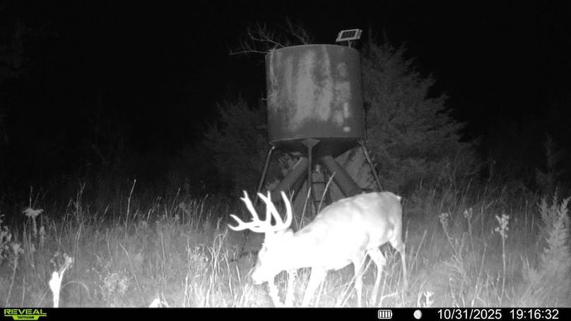 016578004503154-100-2-10312025191632-SYFW17169