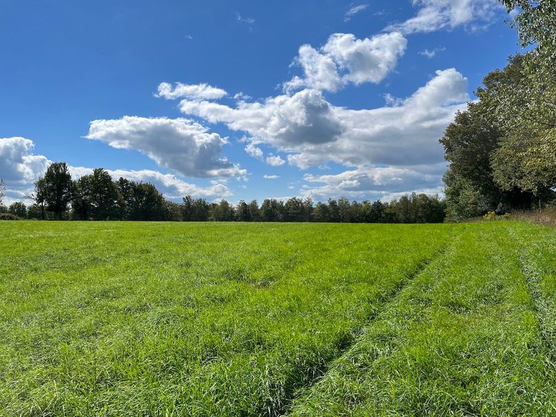 Schuyler_42.08_Austin Photo 4