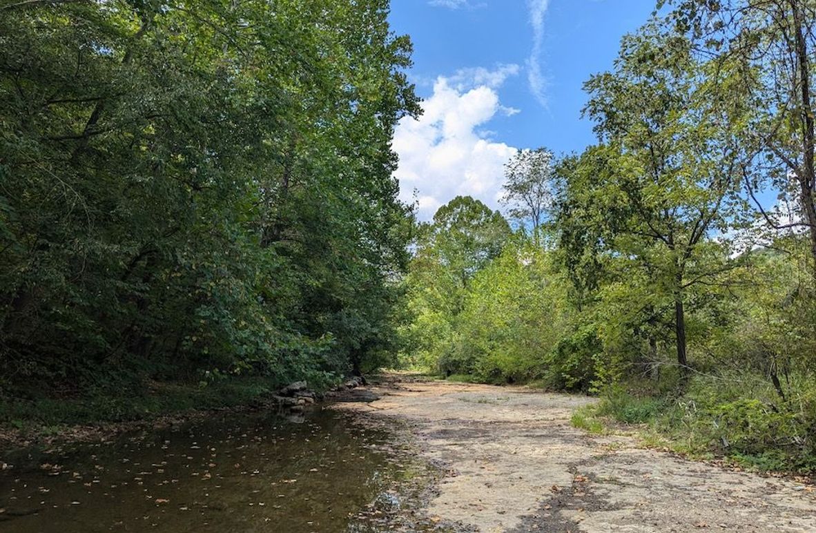 PXL_20240906_165402503