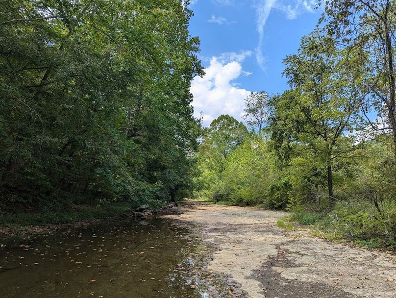 PXL_20240906_165402503