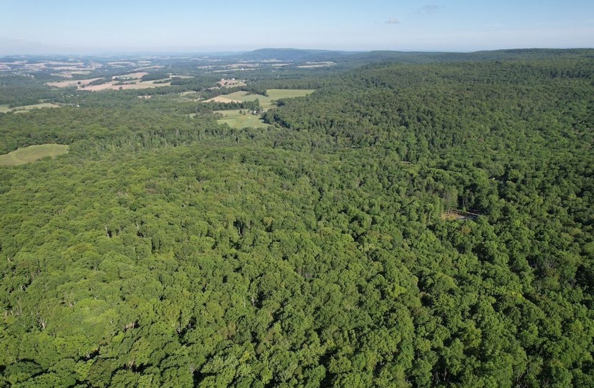 dji_fly_20260602_085104_613_1780663581508_photo
