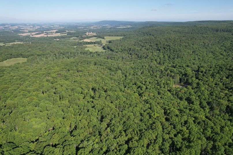dji_fly_20260602_085104_613_1780663581508_photo