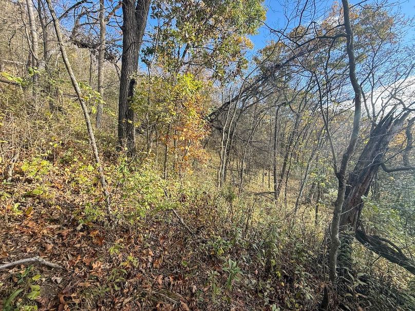 Houston 24.97 Updated-35