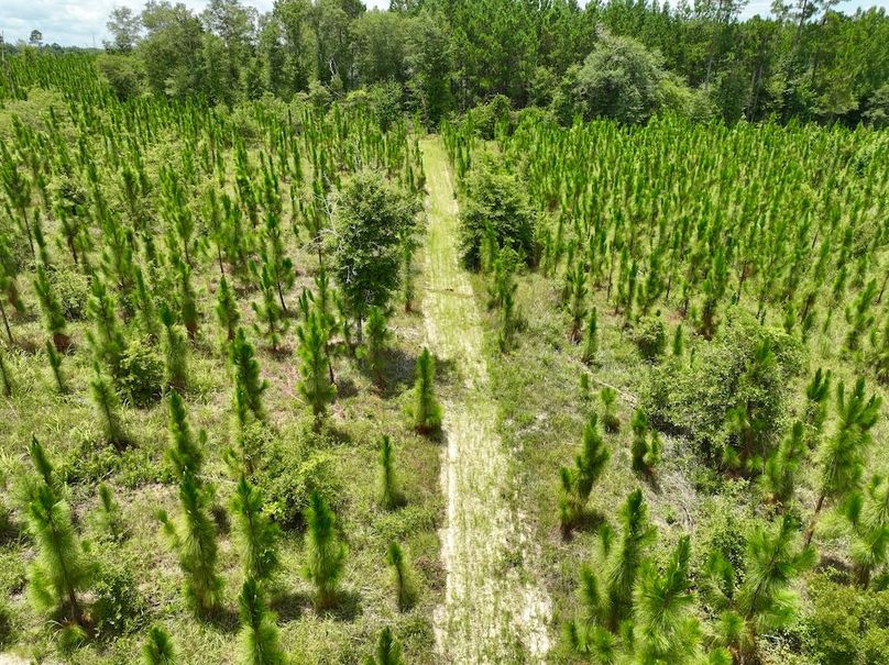 dji_fly_20240710_140006_572_1720634511579_photo